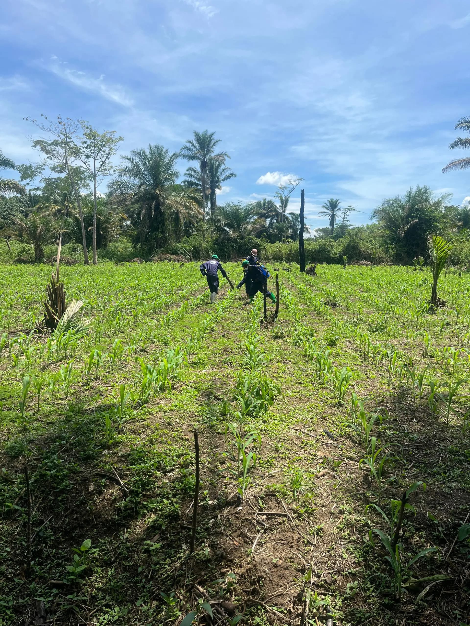 Soko Agro Engagement