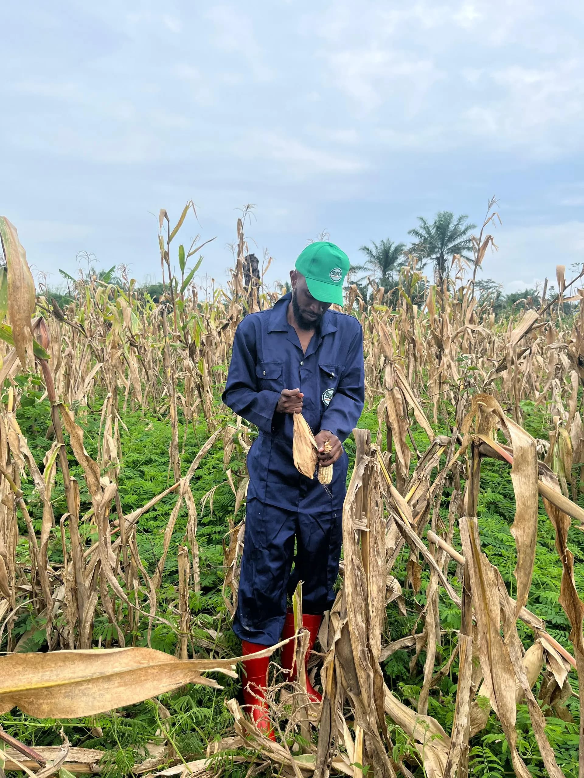 Soko Agro & Industrie