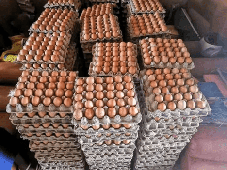 Plateau d'Œufs Frais (30 pièces)